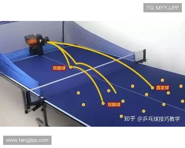 广州乒乓球队区域防守策略揭秘与深度分析探讨